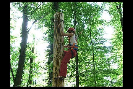 Abenteuer im Wald Kenzingen | Hotels, Ferienwohnungen und ...