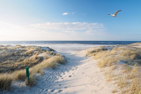 Nordsee, wie man sie sich vorstellt