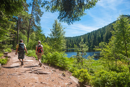 Wandern im Nordschwarzwald