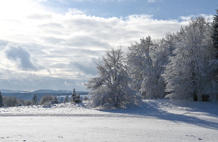 Der Wintertrauf umfasst über 120km Loipen und macht Albstadt zum Winterparadies