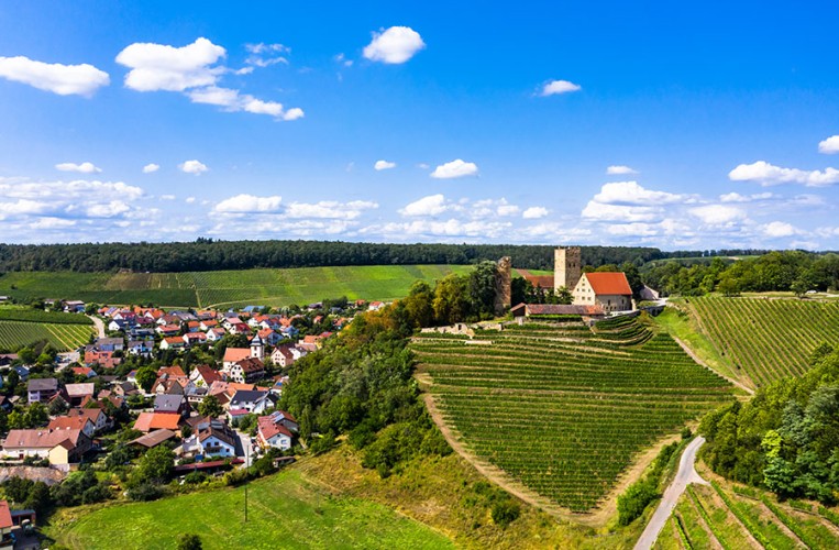 Blick auf Brackenheim und Burg Neipperg