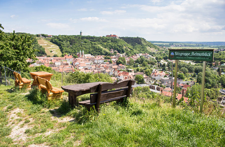 Blick auf Schloss und Stadt Freyburg