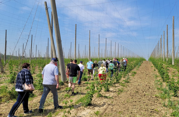 Hallertauer Hopfenerlebnishof Blomoser