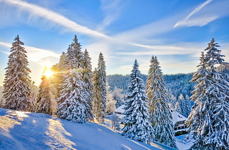 Traumhafte Ausblicke im Winter und im Sommer bietet der Schwarzwald