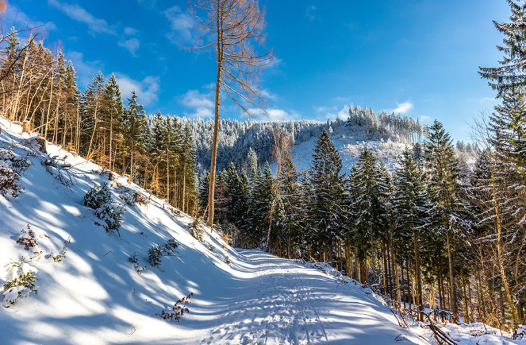 Auch im Winter ein Erlebnis – die Ferienregion Thüringer Wald