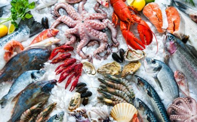 Frisch ein Genuss - Fisch und Meeresfrüchte