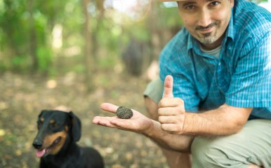 shutterstock.com - Aleksandar Malivuk