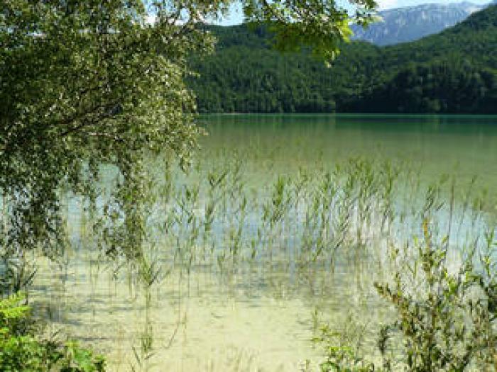 Weissensee